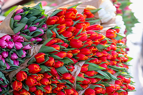 Lukashenko wishes happy Women's Day to Belarusian women