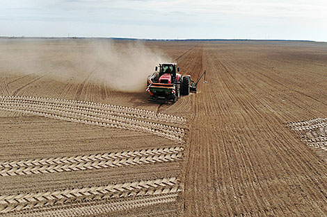 Lukashenko wants winter crops sown within one week