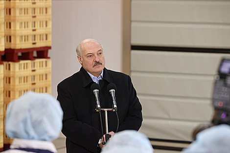 Lukashenko: Companies like Molochny Mir are inspiring
