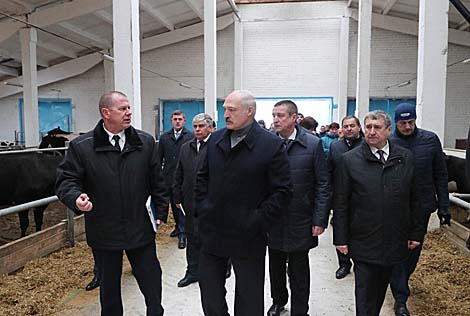 Lukashenko urges to support unprofitable farms and their employees