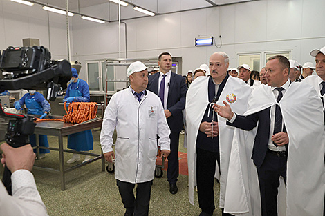 Lukashenko: Further modernization of agriculture is number one task for Belarus
