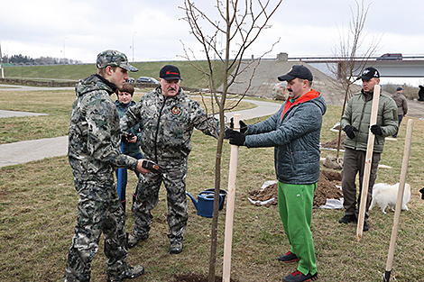 Lukashenko plants trees in his hometown of Alexandria on subbotnik day