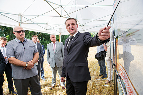 Belarus hopes to harvest about 10m tonnes of grain crops