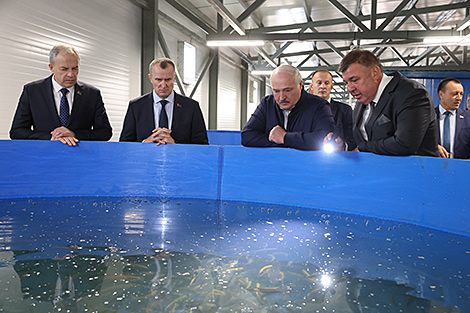 Lukashenko confident of good future of Belarusian fishing industry