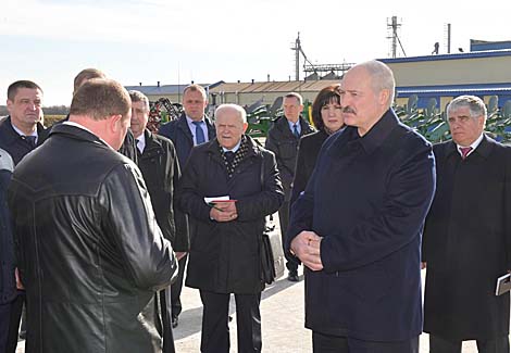 Lukashenko wants new ideas for development of agricultural enterprises