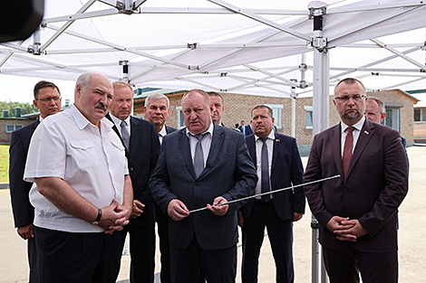 Lukashenko urges focus on safekeeping of feed for animal husbandry