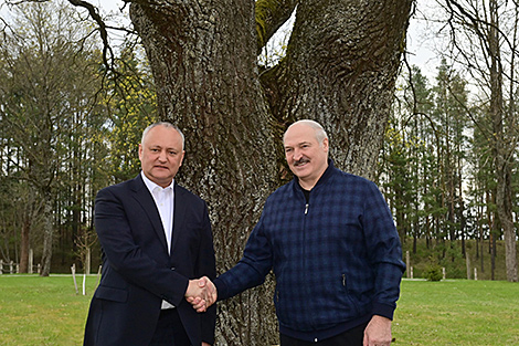 Lukashenko describes meeting with Dodon as heart-to-heart conversation