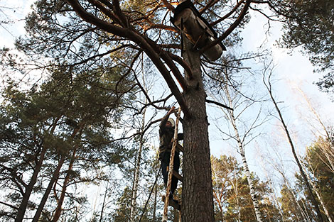 Beekeeping culture of Belarus, Poland on UNESCO List of Intangible Cultural Heritage