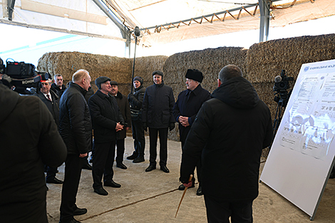Lukashenko: 2025 and the new five-year period are about quality and iron discipline