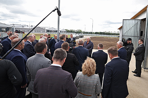 Lukashenko wants high cow welfare standards in Belarus