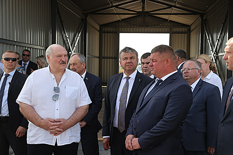 Lukashenko urges to make wider use of domestic seeds in Belarusian agriculture