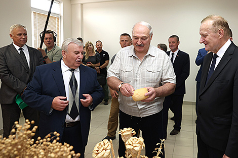 Lukashenko reveals how he builds his itinerary for regional trips