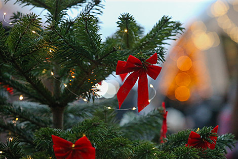 Lukashenko sends Christmas greetings to Belarusians