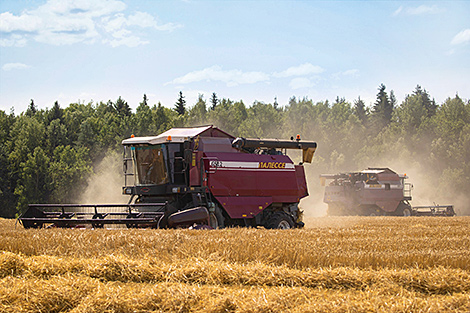 Lukashenko wants good pace and high quality of harvesting effort