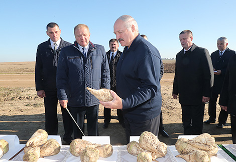 Lukashenko: Farming efficiency will be in the center of attention in 2018