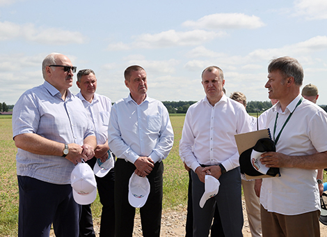 Lukashenko sets goal for 10m-tonne grain harvest in Belarus
