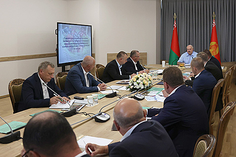 Lukashenko sets tasks to boost Belarus’ horticulture industry