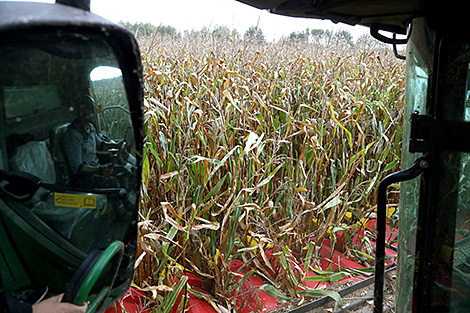 Lukashenko starts working trip to Gomel with instructions on agriculture