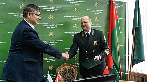 Belarus, Russia’s Novosibirsk Oblast sign memorandum on cooperation in forestry