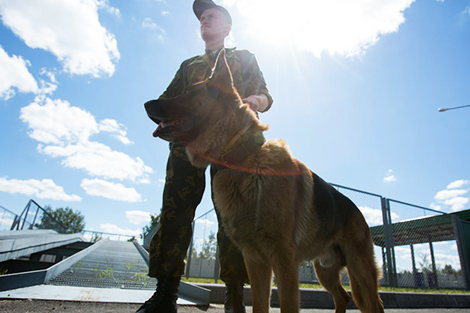 Belarus to attend SCO border services operation in September