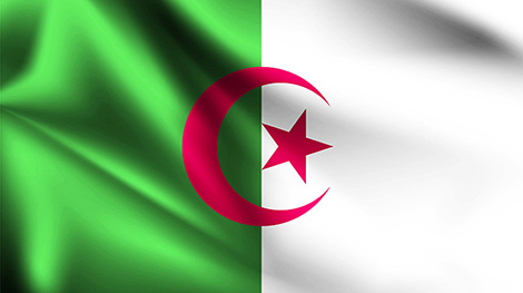 Lukashenko sends Revolution Day greetings to Algeria Lukashenko sends Revolution Day greetings to Algeria