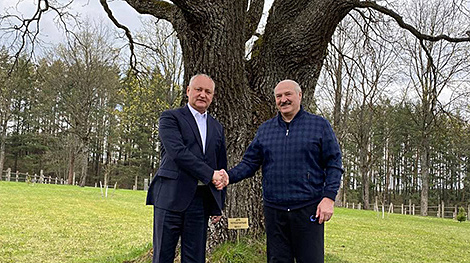 Lukashenko, Dodon meet in Minsk