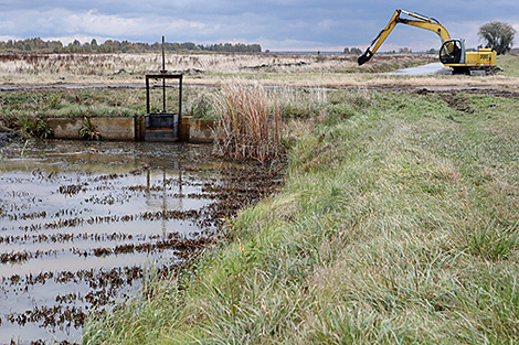 Lukashenko urges more focus on land reclamation in Gomel Oblast