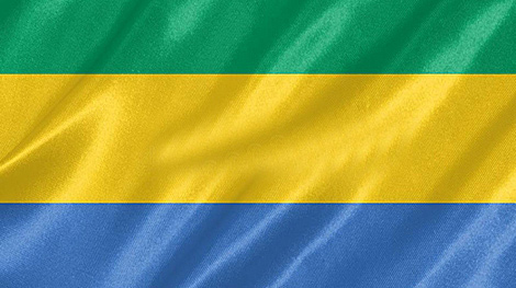 Lukashenko sends Independence Day greetings to Gabon