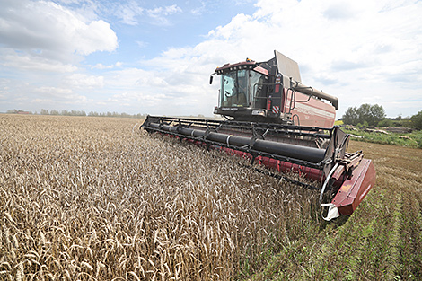 Lukashenko lauds farmers for great results amid challenging season