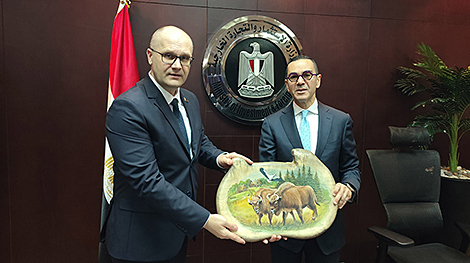 Belarus, Egypt review schedule of upcoming visits