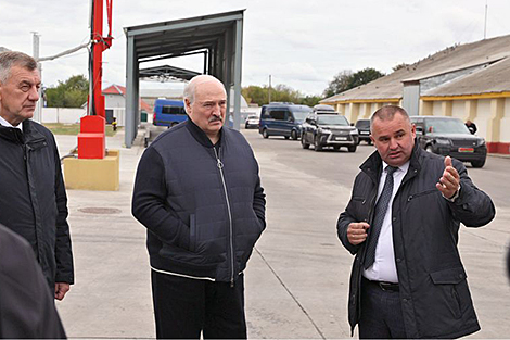 Lukashenko urges Shklov District to sort out its agricultural sector