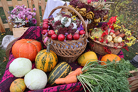 Lukashenko: Agriculture is among major sectors of Belarusian economy
