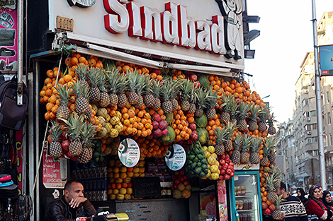 EAEU, Egypt to step up FTA talks