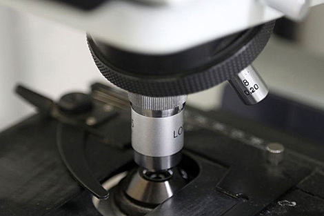 Belarus suggests broader cooperation in healthcare to JINR