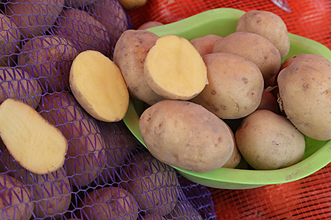 Lukashenko: Domestic food staples should be affordable