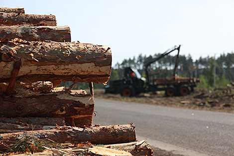 Lukashenko: Gomel Oblast should be put to rights