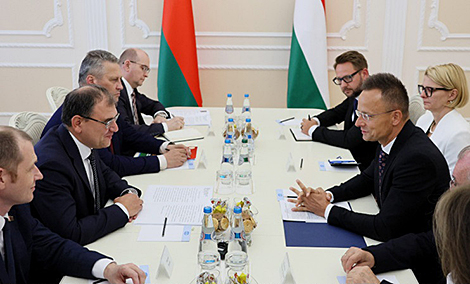 Belarus eager to share NPP construction expertise with Hungary