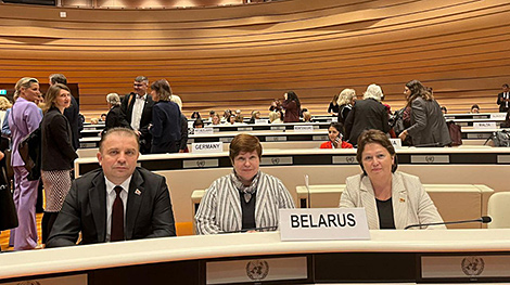 Belarus' statistical committee attends Beijing+30 Regional Review Meeting in Geneva