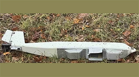 Eismont on Lithuanian drone incident: They shoot themselves between the legs now