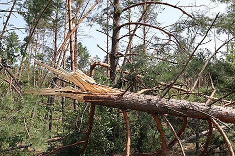 Lukashenko criticizes sluggish early response to recent storms in Belarus