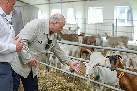 Lukashenko gifted two goats