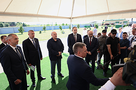Lukashenko criticizes insufficient progress in reducing cattle mortality