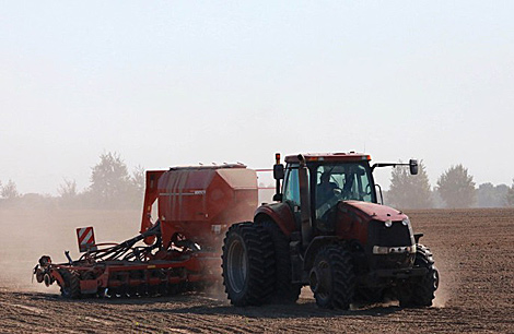 Belarus president wants winter grain sowing to be complete by 1 October