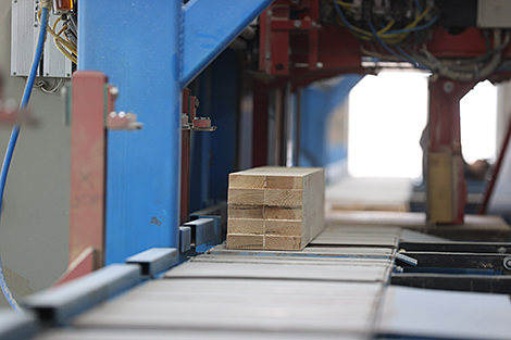 Lukashenko urges to address shortcoming in timber sector