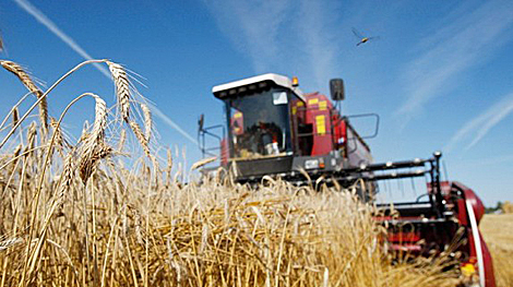 Belarus president urges to keep up harvesting pace