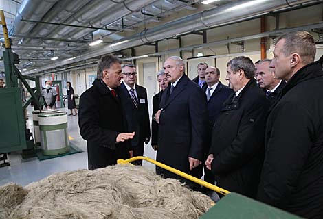 Belarus president wants flax grown properly