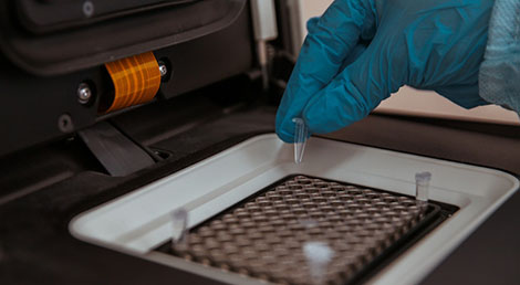 Golovchenko, Mishustin discuss coronavirus vaccine trials