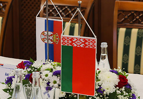 Belarus, Serbia discuss cooperation in culture, publishing business