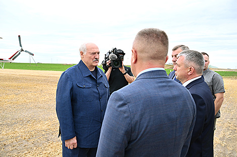 Lukashenko calls for river floodplain mowing tech to stop ‘huge land losses’