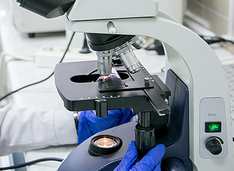 Belarus, Russia develop DNA technologies for forensic science, medicine